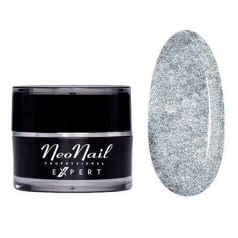 Neonail Paint Gel Expert Metalic Silver