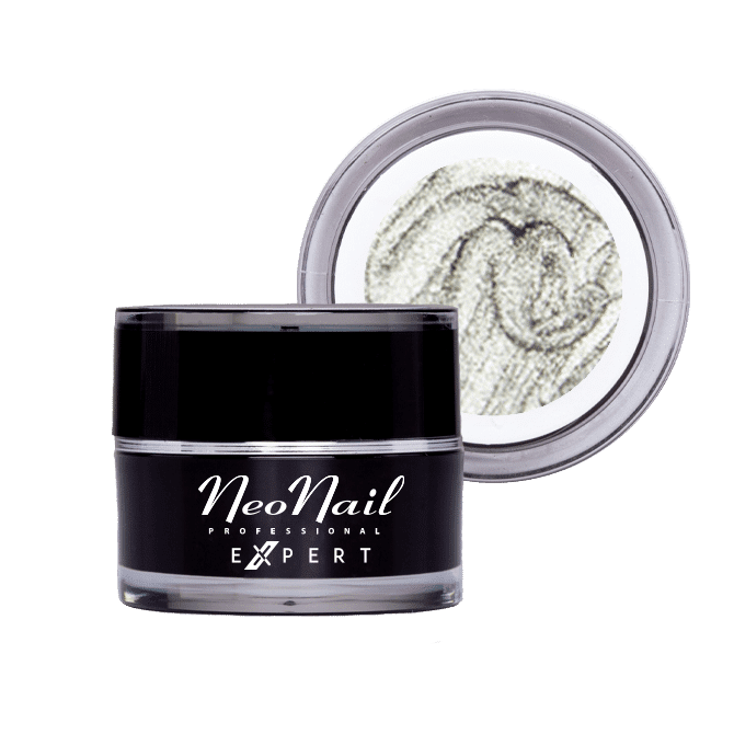 Neonail Paint Gel Expert Metalic Silver