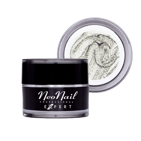 Neonail Paint Gel Expert Metalic Silver